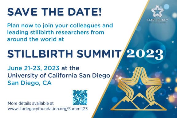 Stillbirth Summit 2023