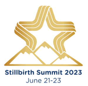 Stillbirth Summit 2023 Logo