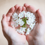 Open hands gently holding a cluster of delicate white flowers, symbolizing care and support offered by Star Legacy's Support Groups.